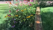 South Dakota Home Garden: Watering