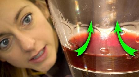 Video thumbnail: Physics Girl Most People Don’t Know Wine Moves Like This