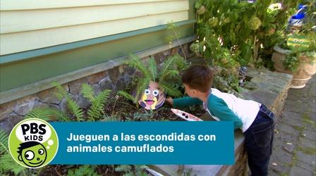 Video thumbnail: Crafts for Kids Jueguen a las escondidas con animales camuflados