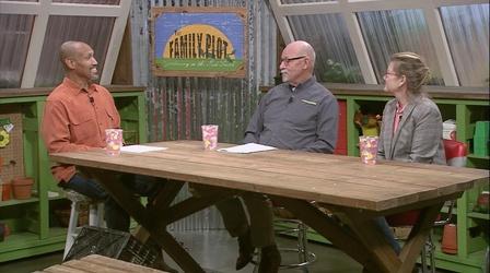 Video thumbnail: The Family Plot Starting Vegetables Indoors & Seeds vs. Transplants