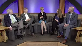 Political Reporter Panel