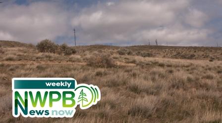 Video thumbnail: NWPB Weekly News Now March 1, 2024