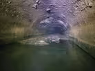 Fatbergs