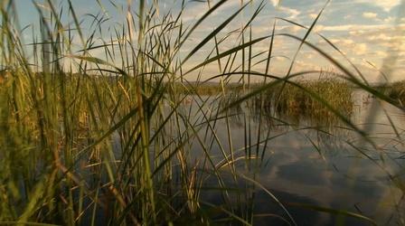 Video thumbnail: The Illinois River Wetlands for Wildlife - Promo