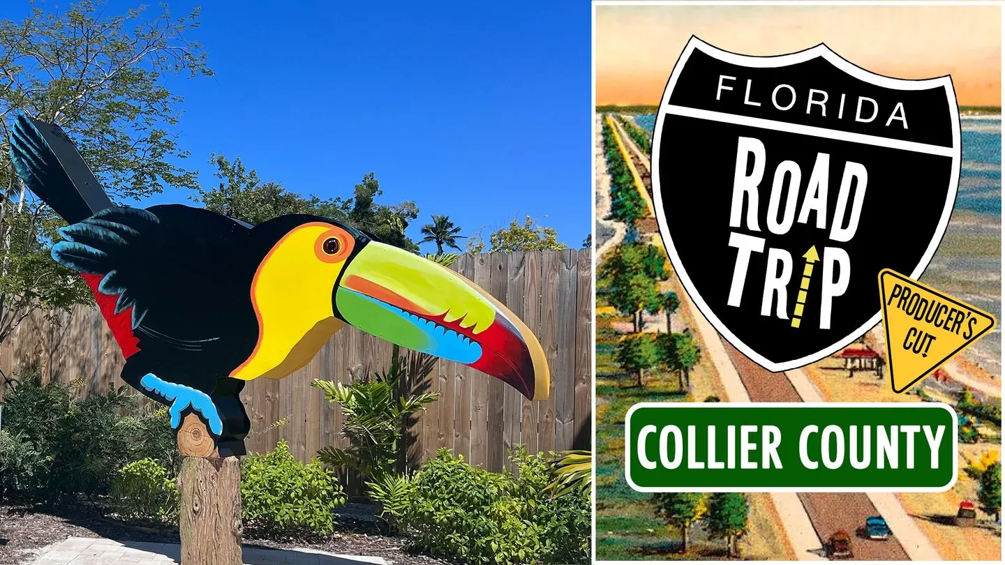 Collier County Producer's Cut