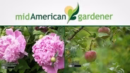 Mid-American Gardener with Sandy Mason November 16, 2017