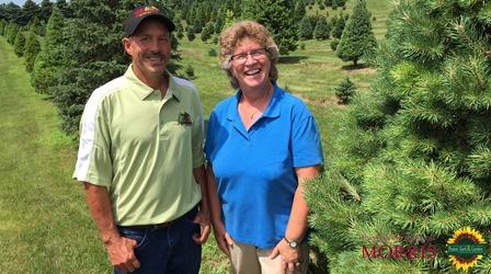 Video thumbnail: Prairie Yard & Garden Christmas Tree Production