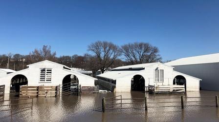 Video thumbnail: PBS NewsHour Devastating floods mean a tough season for Nebraska farmers