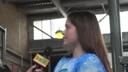 Kristin