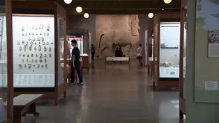 Oriental Institute Unveils Multimillion-Dollar Makeover