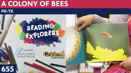 Video thumbnail: Reading Explorers PK-TK-655: A Colony of Bees