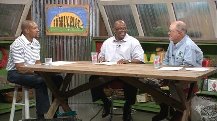 Video thumbnail: The Family Plot Summer Lawn Problems & Fire Ants