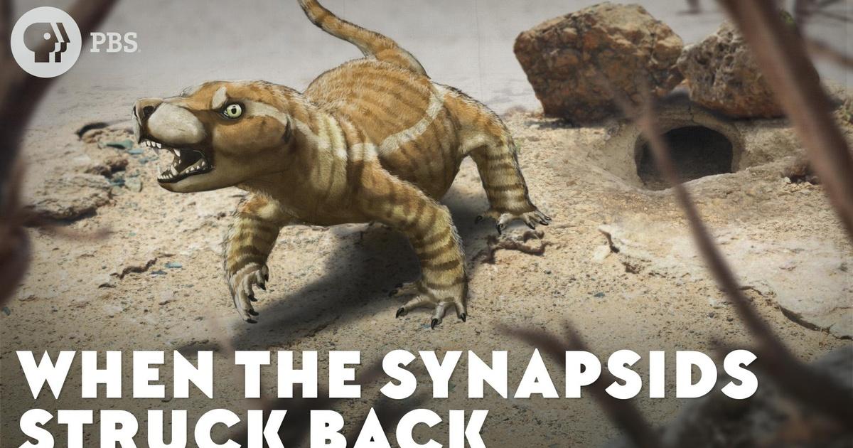 Eons | When the Synapsids Struck Back | Season 2 | Episode 26 | PBS