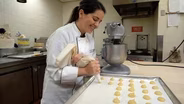 Holiday Handbook: Treats and Tips for Winter Festivities