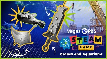 Video thumbnail: Vegas PBS STEAM Camp Vegas PBS STEAM Camp: Cranes and Aquariums