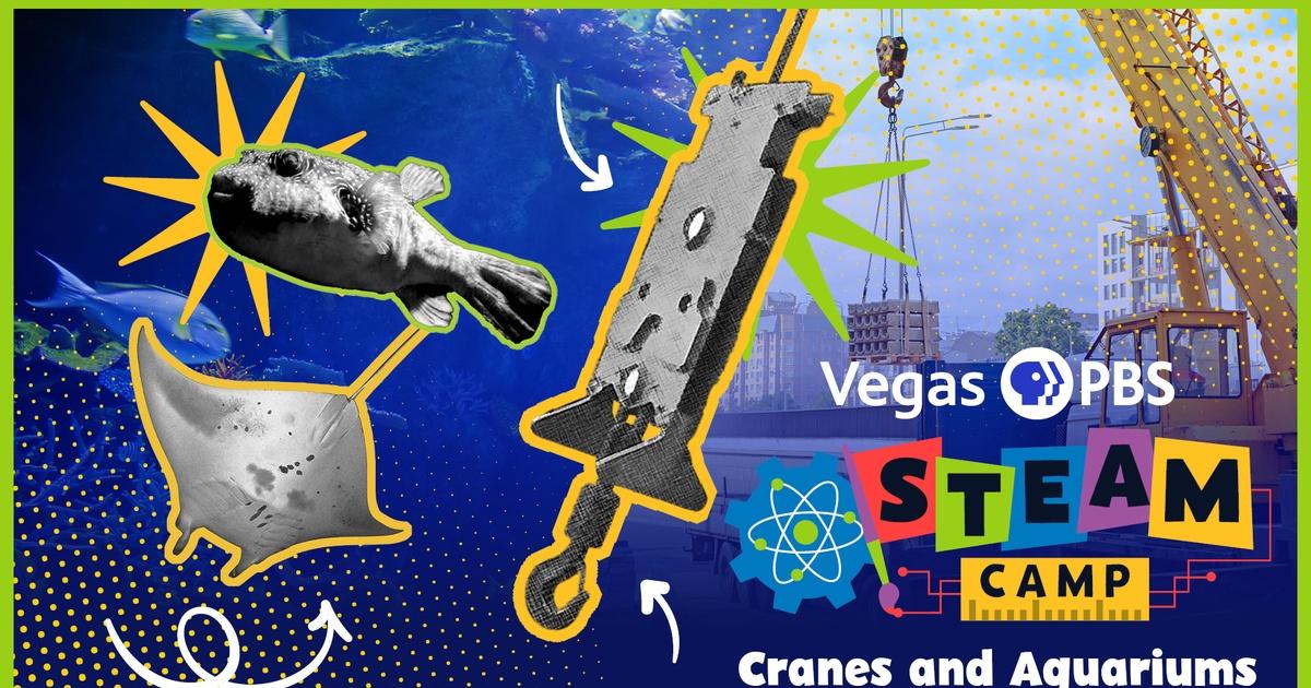 Vegas PBS STEAM Camp | Vegas PBS STEAM Camp: Cranes and Aquariums ...