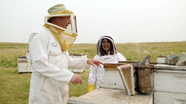 Honey in North Dakota