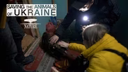 Trailer | NAAT #4212 | Saving the Animals of Ukraine