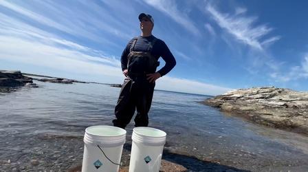 Video thumbnail: Art Inc. Sea Salt, See Salt
