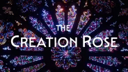 TRAILER | CRNS | Creation Rose