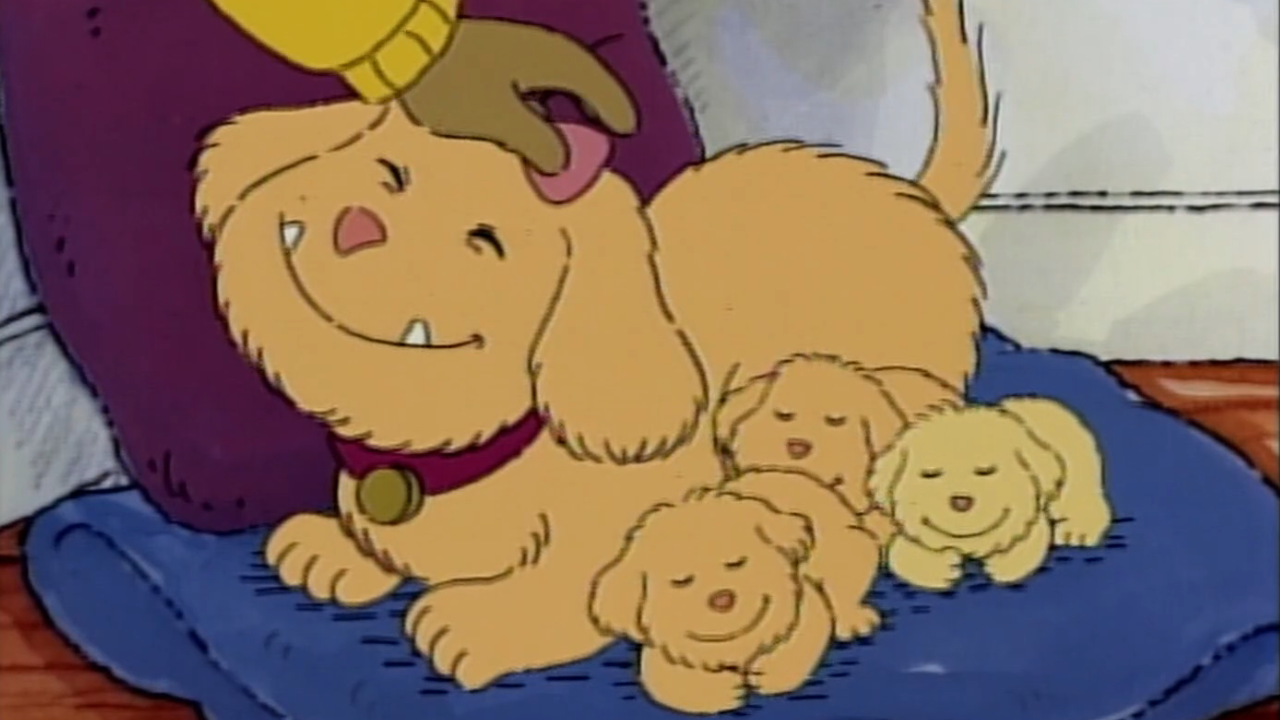 Arthur's Pet Business