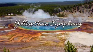 Yellowstone Symphony | Promo