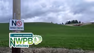 Planean parque eólico en región del Palouse, y gatitos esperan ser adoptados: 16 de mayo de 2025.