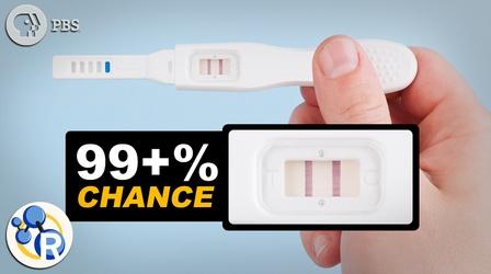 Video thumbnail: Reactions How Do Pregnancy Tests Work?