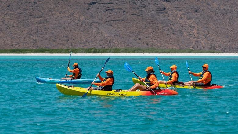 The Survivalists Image