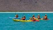 Paddles Away!