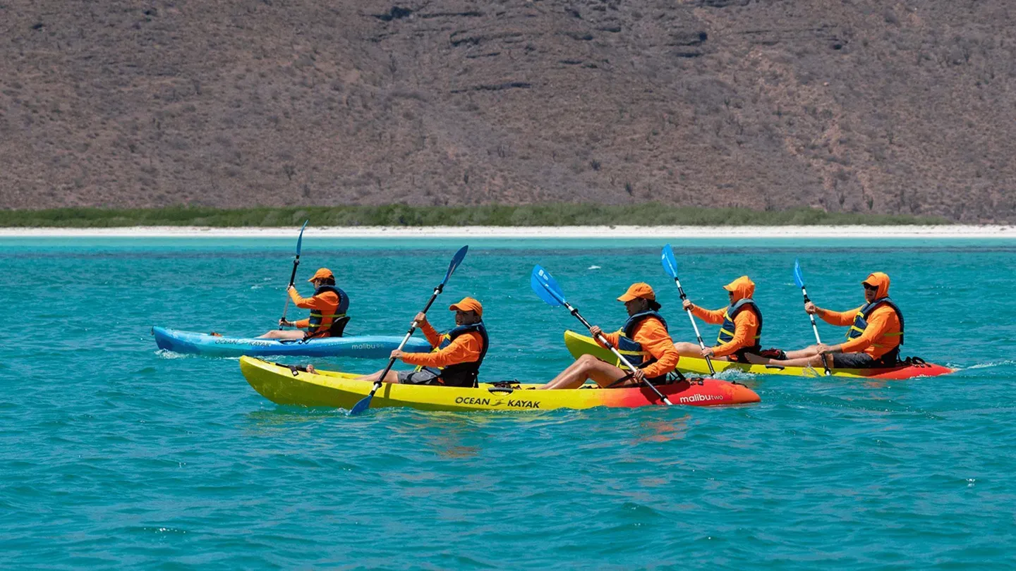 Paddles Away!
