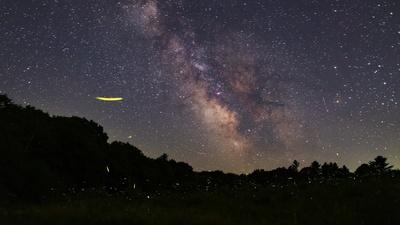 Fireflies