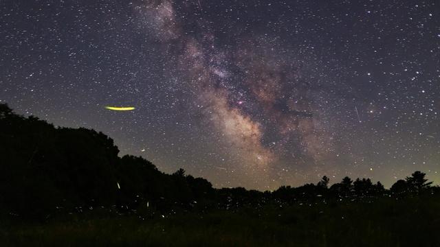 Fireflies