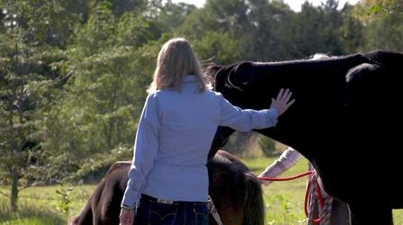 Video thumbnail: Nebraska Stories The Animal Whisperer and More