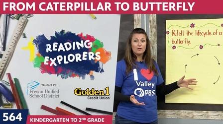 Video thumbnail: Reading Explorers K-2-564: From Caterpillar To Butterfly