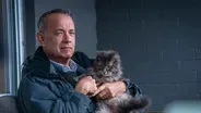 A Man Called Otto, 2