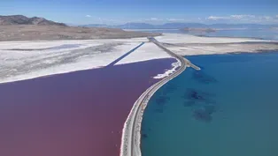 The Great Salt Lake