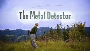 The Metal Detector