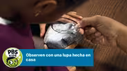 Observen con una lupa hecha en casa