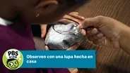 Observen con una lupa hecha en casa