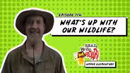What's up with Our Wildlife?
