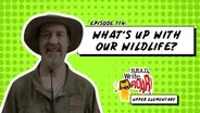 What's up with Our Wildlife?