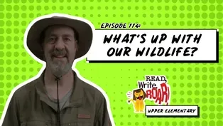 What's up with Our Wildlife?