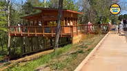 Have you heard about Bennett’s Village?