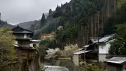 Show Me Where You Live: Kyoto, Japan