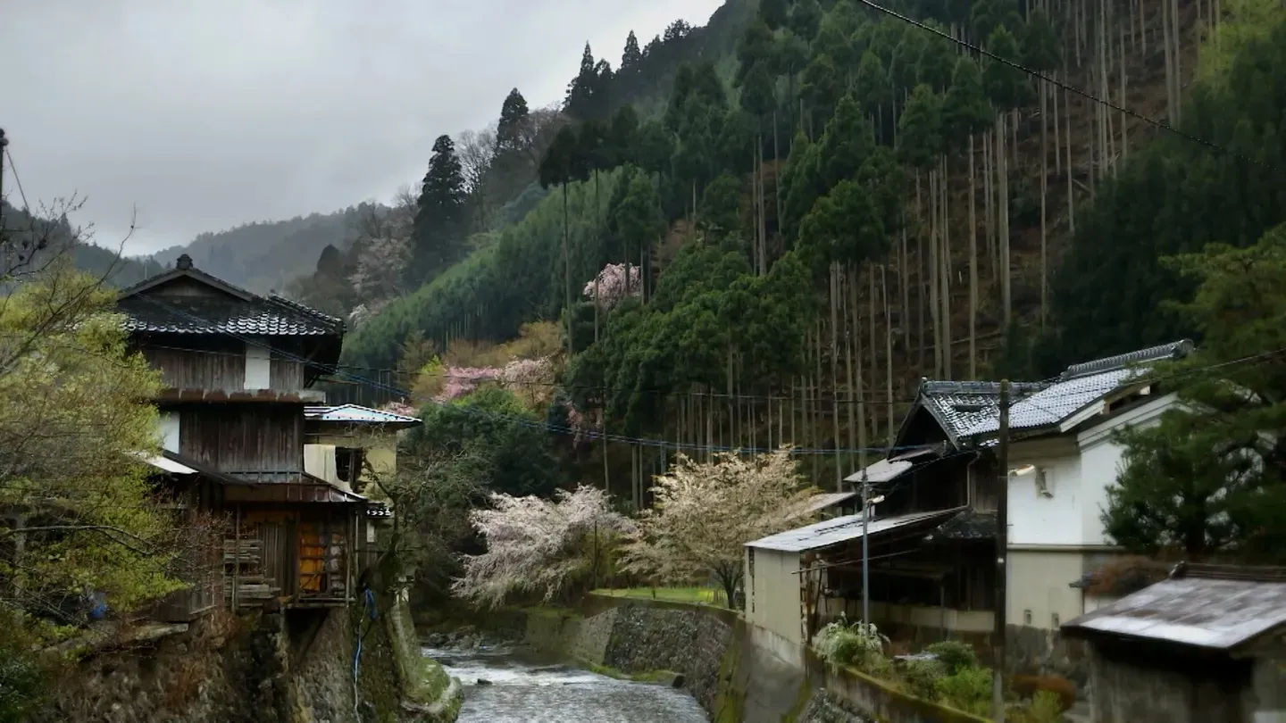 Show Me Where You Live: Kyoto, Japan