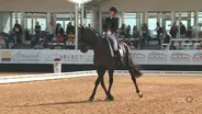 2023 Maryland 5 Star: Day 1: Dressage