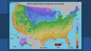 New Plant Map Puts Chicago in a Warmer Zone