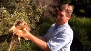 Reptiles and Amphibians
