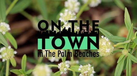Video thumbnail: On The Town Bee Healthy Honey Farms | On The Town Foodie Adventures